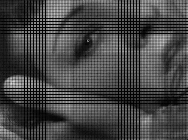 The Birth of a Notation