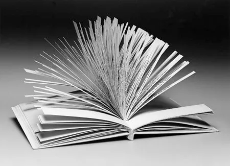The Digital Reception of A Hundred Thousand Billion Poems