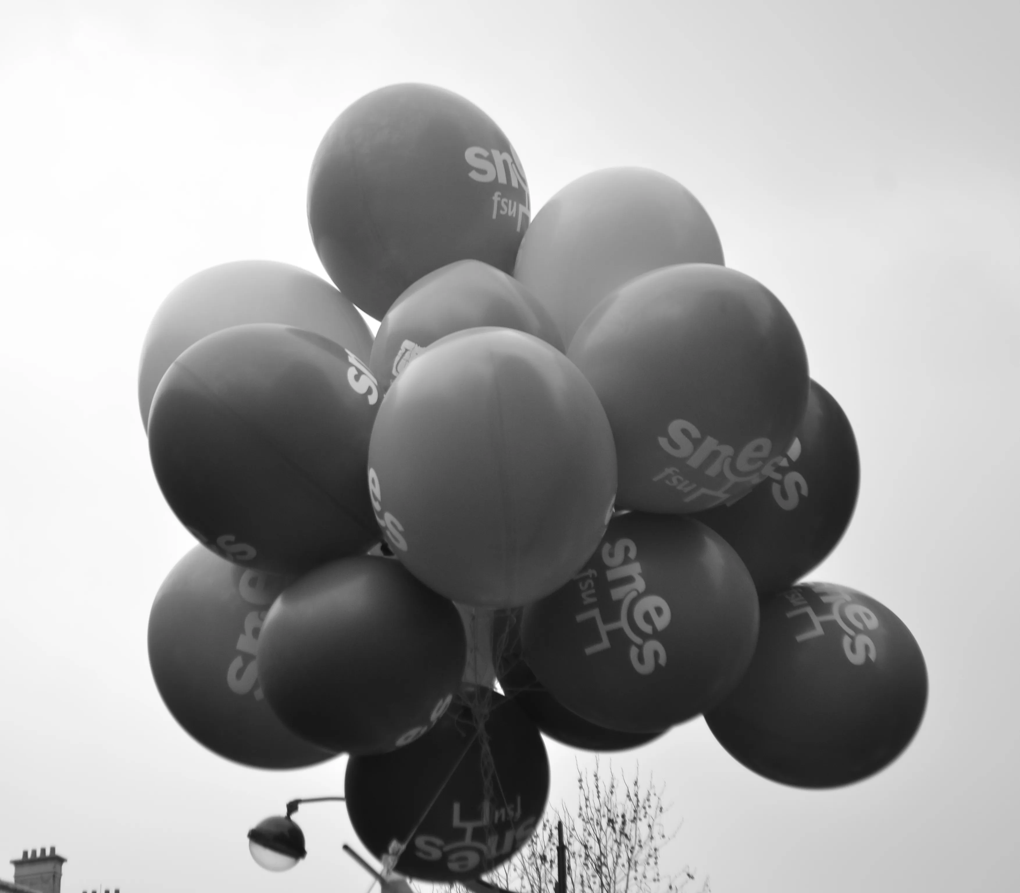 Laisse venir et les autres 