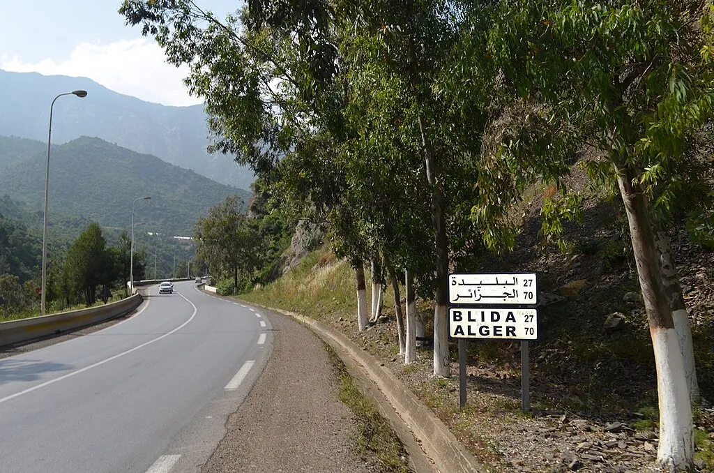 Orphelin du bled