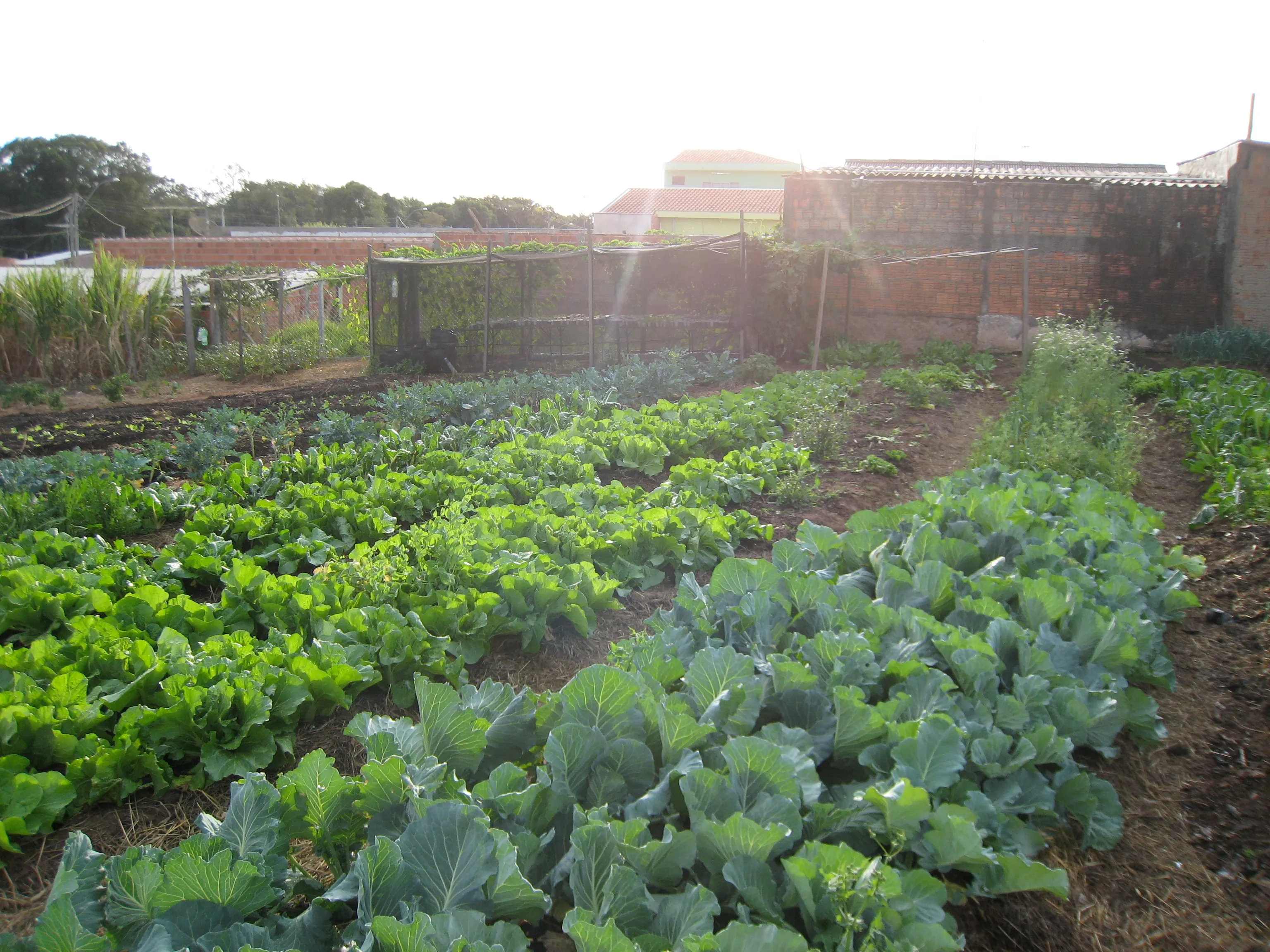 Political Ideology, Community Openness and the Commons