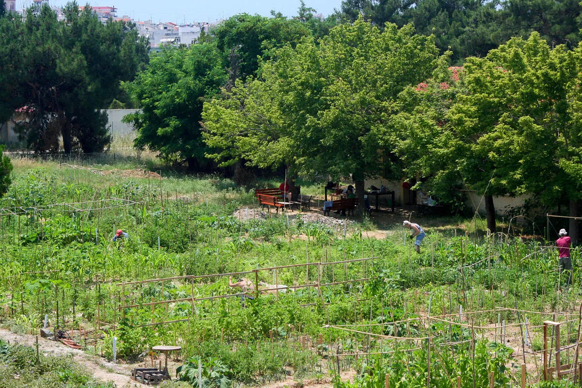 The impact of urban commons in official planning practice