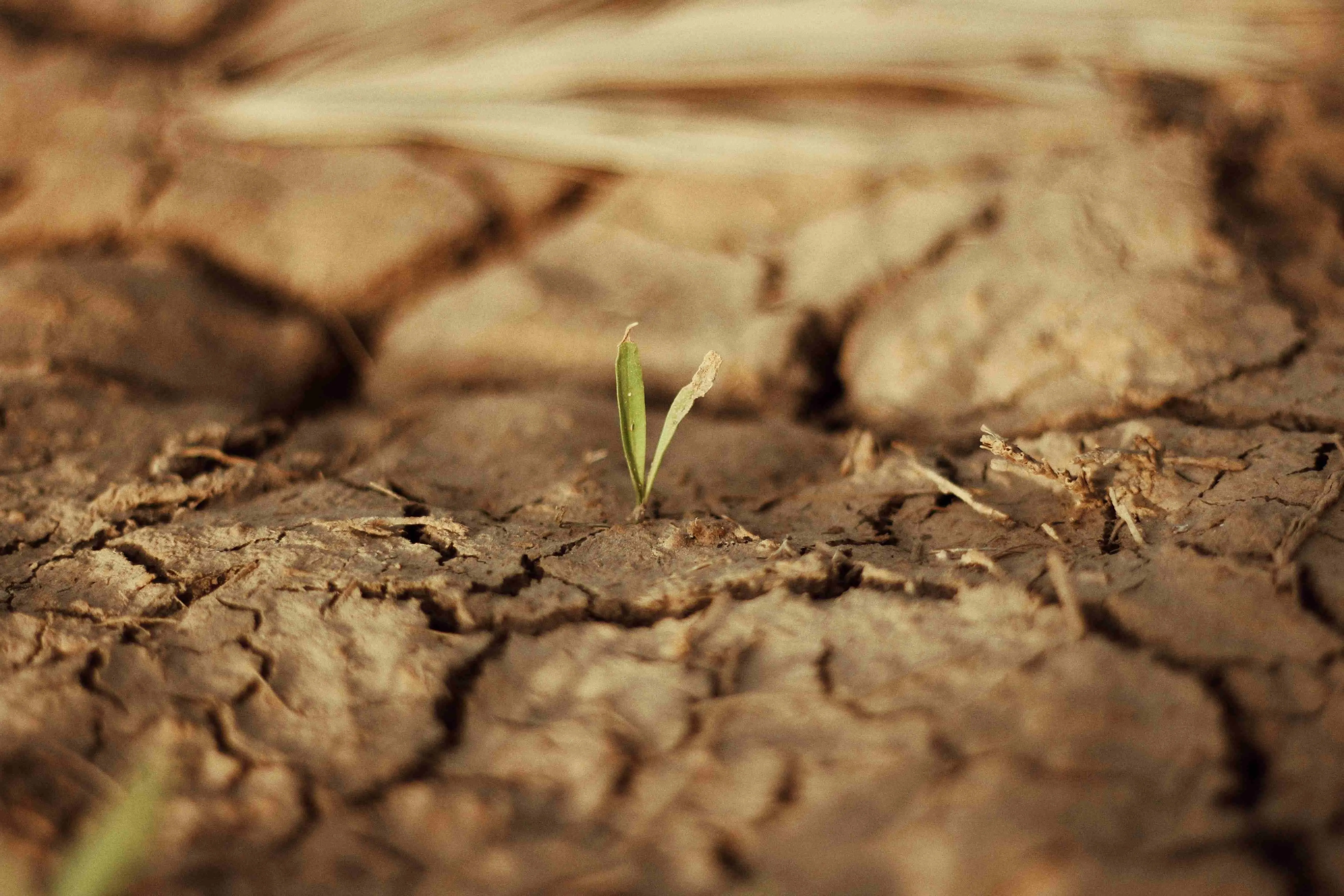 Perspective pragmatiste en éthique des changements climatiques