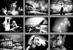 Terror and Other Poems