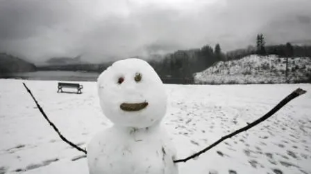 L'hiver de force